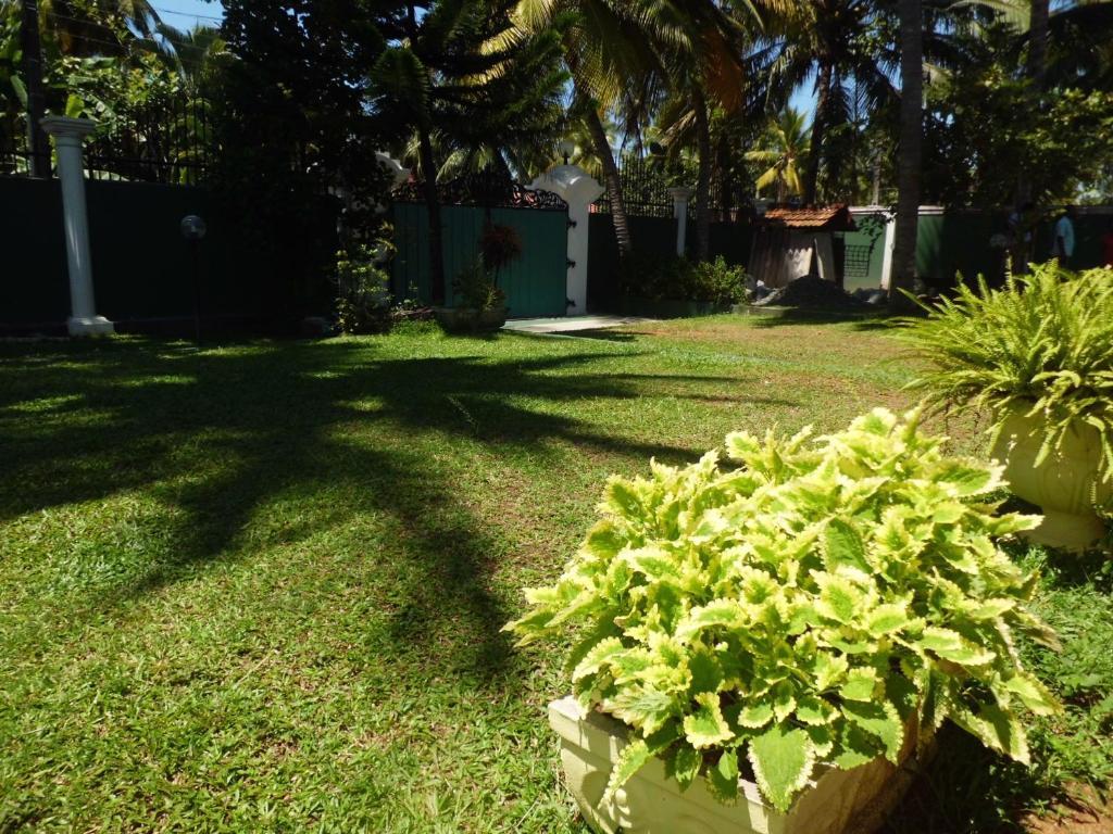 Villa W Bentota Esterno foto